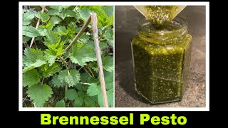 Brennesselpesto Rezept  Pesto aus Brennessel  Selbstversorgung Wildkräuter [upl. by Forcier684]