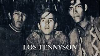 LOS TENNYSON 1968 Disco Completo [upl. by Melloney494]