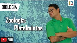 Biologia  Zoologia Platelmintos [upl. by Schnapp]