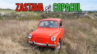 Zastava si Copacul  Se conduce Singura [upl. by Doxia]