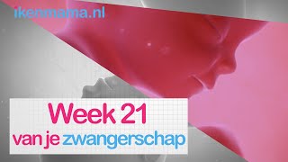 21 weken zwanger  ikenmamanl [upl. by Asirap]