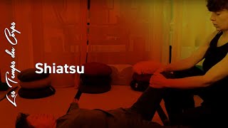 Démonstration de massage quotShiatsuquot [upl. by Walli]