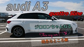 audi A3 quattro Sline 40TFSI Sportback Metallic Paint Finishes Whitea アウディＡ３ クワトロＳライン スポーツバック [upl. by Holleran1]