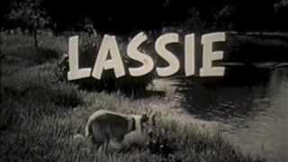 Lassie [upl. by Halley]