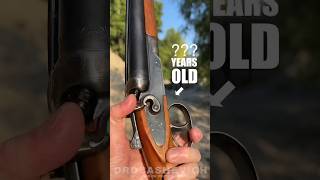 OLD DOUBLE BARREL SHOTGUN shorts gun shotgun review weapon usa 12gauge hunting cartridges [upl. by Anuat499]