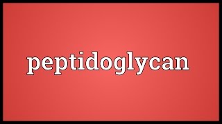 Peptidoglycan Meaning [upl. by Roy]