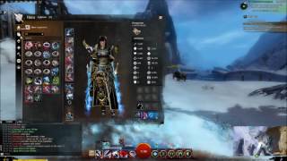 GW2 Herald Revenant Guide [upl. by Adirahs303]