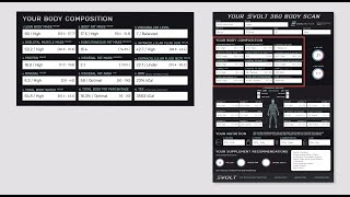 Your Evolt 360 Body Composition Scan results explained [upl. by Rory]