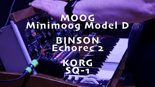 Moog Minimoog Binson Echorec Korg SQ1 SONIC TEST DRIVE feat Ombient [upl. by Bertasi]