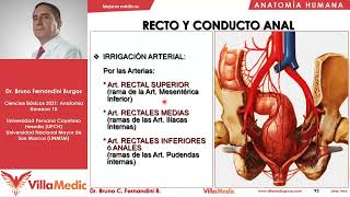 Recto ano vejiga  Pelvis 3  Anatomía Humana FÁCIL  Ciencias básicas  Villamedic [upl. by Cherian725]