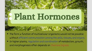 Let’s learn about Plant Hormones Phytohormones  CSIR NET2024 PlantHormones Jrf Botany [upl. by Giark]