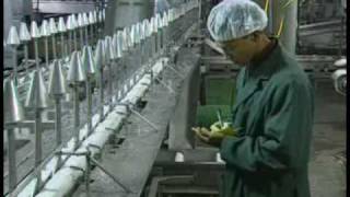 US Poultry Quality Control and Food Safety [upl. by Azial16]