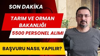 5500 PERSONEL ALIMI TARIM VE ORMAN BAKANLIĞI 2024 BAŞVURUSU NASIL YAPILIR kpss tercih kılavuzu [upl. by Virgel545]