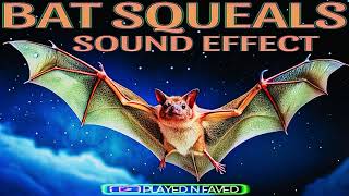 Bat Squeals Sound Effect [upl. by Marasco689]