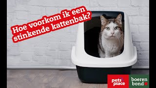 Hoe voorkom ik een stinkende kattenbak [upl. by Lirpa]