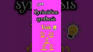 Purine and Pyrimidine Catabolism Pathway  Nucleotide Breakdown  Biochemistry Lesson [upl. by Ahsik877]