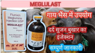 Meglulast Inj uses in veterinary  flunixin meglumine [upl. by Revilo367]