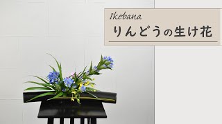 【秋の生け花 りんどう】 初心者でもコツが分かればとても簡単！ 生け方の基本～アレンジまでサクッと紹介。 ikebana style class Japanese flower arrangement [upl. by Odnalro]