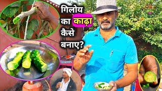 गिलोय का काढ़ा कैसे बनाएं  Giloy Ke Fayde  Giloy Juice Benefits  Giloy Ka Kadha Kaise Banaye [upl. by Oakley813]