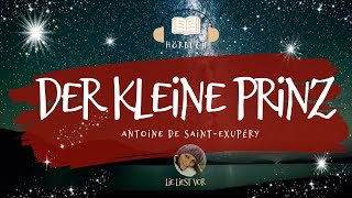 Der kleine Prinz komplettes Hörbuch zum Einschlafen und Träumen Antoine de SaintExupéry [upl. by Roberta]