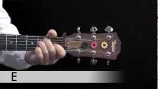 Itsy Bitsy Spider  guitar lesson [upl. by Nivel]