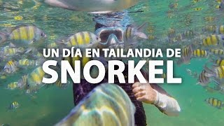 Snorkel en las playas del sur de Tailandia [upl. by Yaeger]