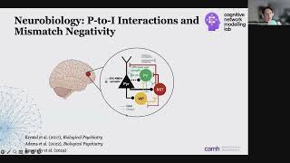 OHBM 2024  Educational Course  Connectomebased models of wholebrain dynamics  Part 8 [upl. by Adnilema]