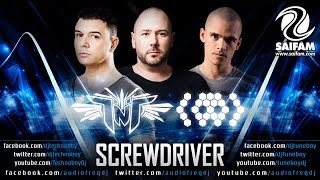 TNT Aka Technoboy N Tuneboy amp Audiofreq  Screwdriver [upl. by Lexy]