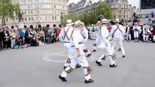 Morris Dance [upl. by Atinauq]