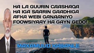 kabanle  maxamuud kabanle  maxamed kabanle  maxamed yare  hees ha la guurin caashaqa  kaban [upl. by Maxine]