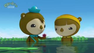 Octonauts Who Loves Sharks [upl. by Eyt]