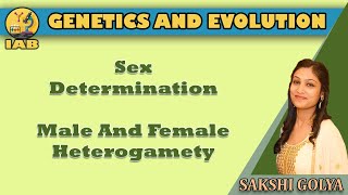 Sex Determination  Male And Female Heterogamety  Genetics And Evolution  Module 17  Sakshi Golya [upl. by Amr]