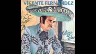 AUNQUE ME DUELA EL ALMA  VICENTE FERNANDEZ FULL AUDIO [upl. by Hezekiah122]