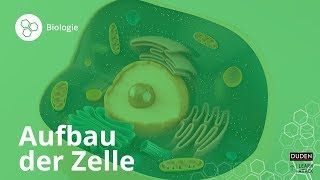 Aufbau der Zelle Bio leicht gemacht – Biologie  Duden Learnattack [upl. by Ecnaralc38]