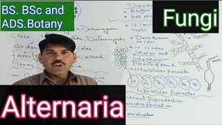 Alternaria complete topic [upl. by Malanie]