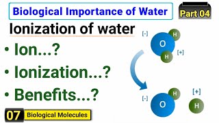 Ionization of water  Biological Importance of Water  Complete concept [upl. by Tonya]