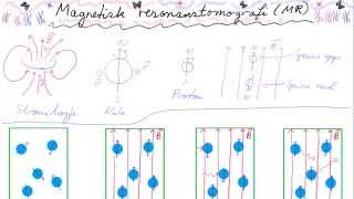 FYS2082 Magnetisk resonanstomografi [upl. by Natanhoj370]