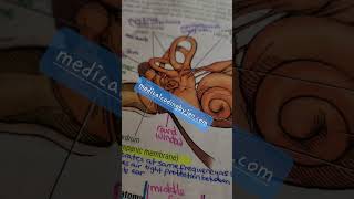 Anatomy prep work for medical coding certification exam tips hacks [upl. by Sosthenna136]