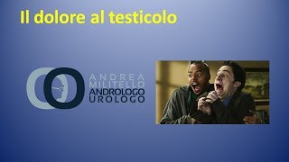 Il dolore al testicolo Quali sono le cause  Andrologo Dr Andrea Militello [upl. by Venuti]