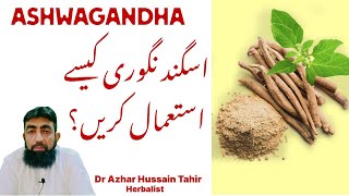 Ashwagandha benefits  Asgandh nagori k fayde in urdu hindi [upl. by Nathan461]