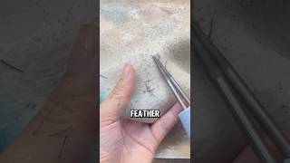 Efficient Electric Poultry Feather Plucker A StepbyStep Guide😅😅 wildanimalfacts facts [upl. by Ahsinauj]