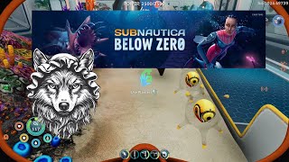 Subnautica Below Zero  Where to find the Trivalve gold [upl. by Ecinwahs]