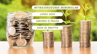 Wynagrodzenie minimalne  lipiec 2023  3600 zł brutto  umowa o pracę [upl. by Rowen]