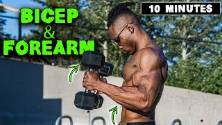 10 MINUTE LIGHTWEIGHT DUMBBELL BICEP amp FOREARM WORKOUT [upl. by Llerrud]