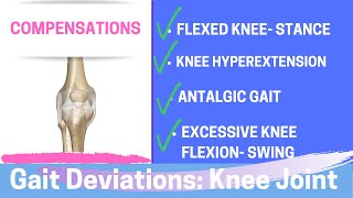 Gait Deviations Compensatory Knee Joint Strategies [upl. by Aelanej499]