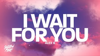 Alex G  I Wait For You Lyrics [upl. by Eninnaj]