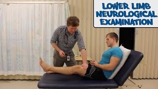 Lower Limb Neurological Examination  OSCE Guide old version  UKMLA  CPSA [upl. by Ekyt]