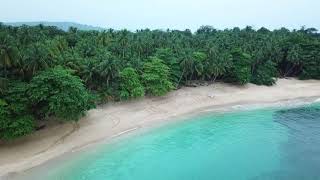 Principe Island Turtle Tagging [upl. by Hameean211]