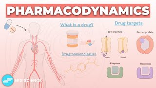 Introduction to Pharmacodynamics  Pharmacology [upl. by Burr652]