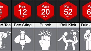 ShockingHuman Pain comparison 2024 [upl. by Dasha]